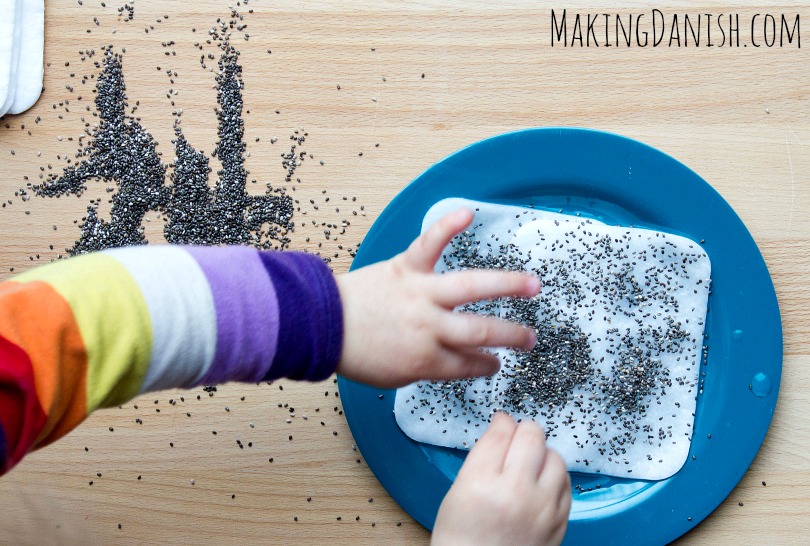 kid spreading chia seeds on cottong