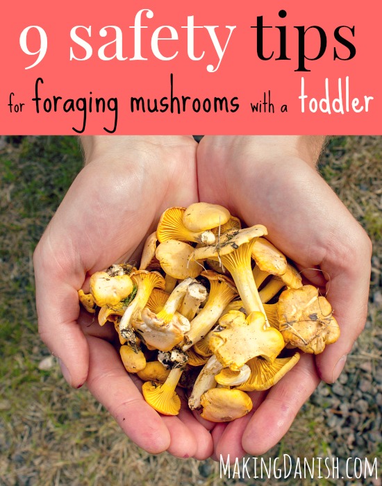 Mushrooming can be such a fun activity for the whole family including your toddler. But it's important to take some safety precautions. Read these 9 safety tips for foraging mushrooms with a toddler - they also apply for older children and adults - before going out to hunt mushrooms. MakingDanish.com