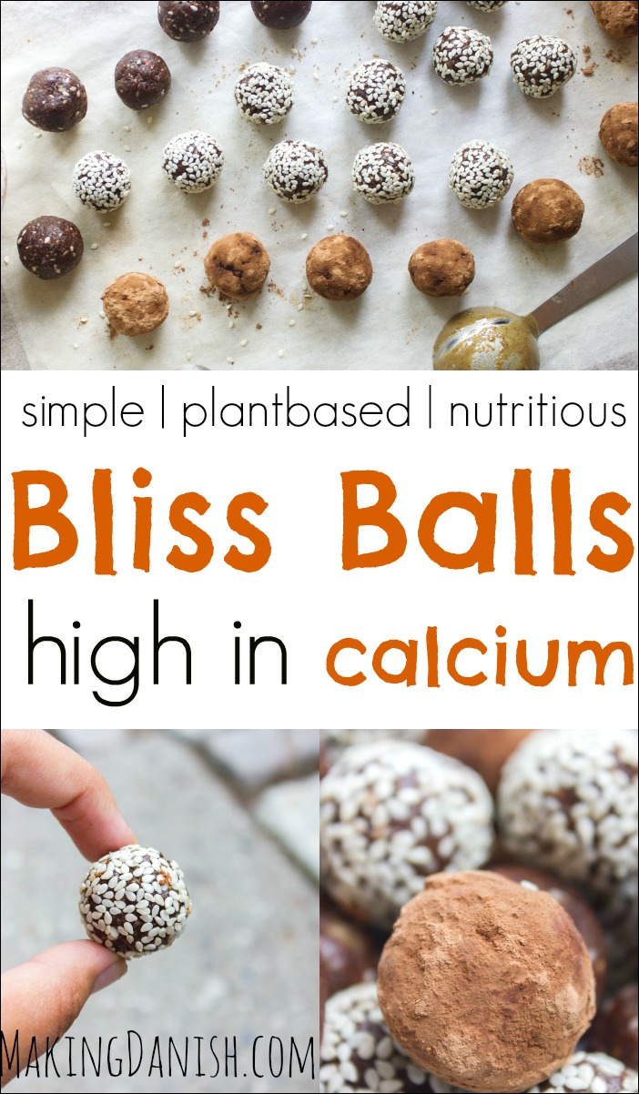 tasty plantbased bliss balls hign in calcium