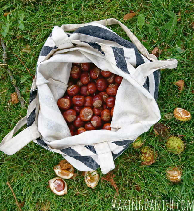 Collecting conkers fall activity