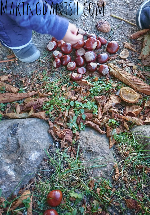 Counting with conkers math